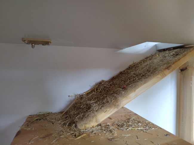 Compress_20240610_194830_0317.jpg (1.42 MiB) 8160 mal betrachtet Compress_20240610_194830_0317.jpg