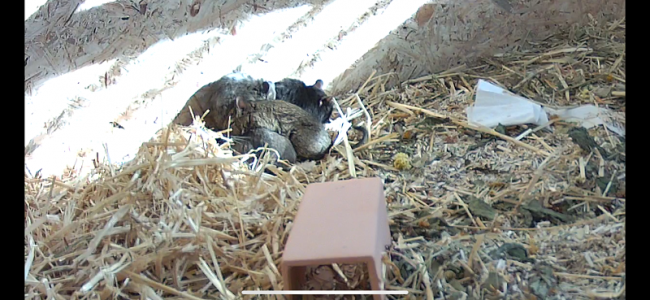 IMG_0203.PNG (575.17 KiB) 5153 mal betrachtet IMG_0203.PNG