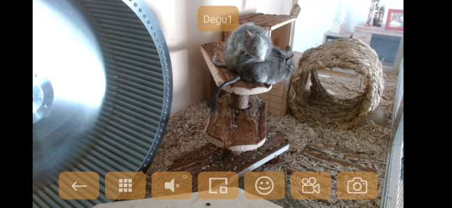 Screenshot_20251003_154304_StreamShow.jpg