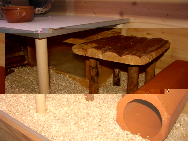 umbau_abby_gibbs_oben2.jpg