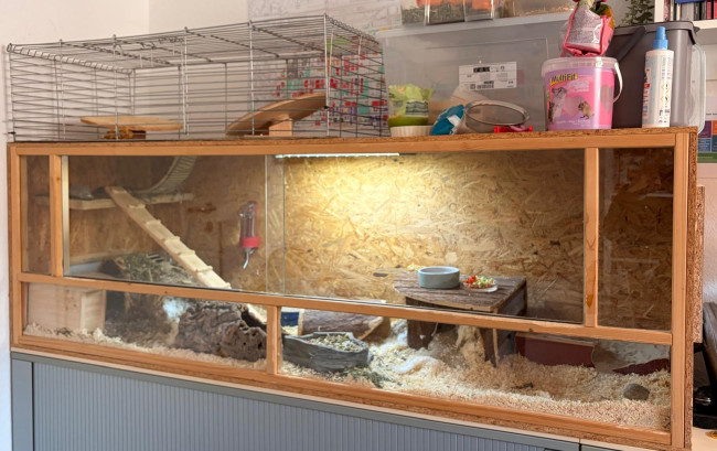 WhatsApp Image 2026-02-09 at 12.59.28 (3).jpeg