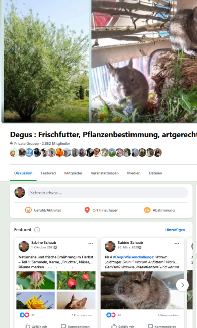 Screenshot 2026-10-19 230825.png