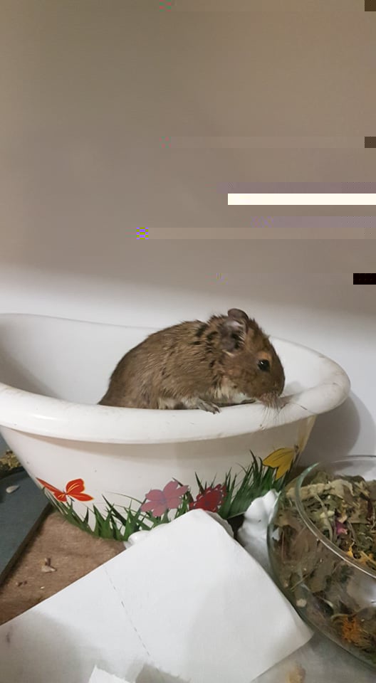levi_wanne.jpg