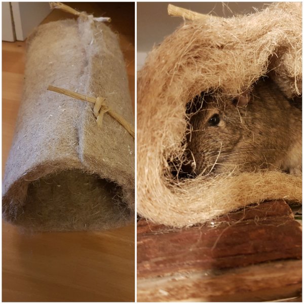 Kuschelröhre.jpg