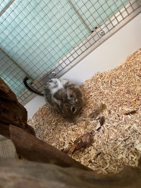 Niall.jpg (259.06 KiB) 5761 mal betrachtet Niall