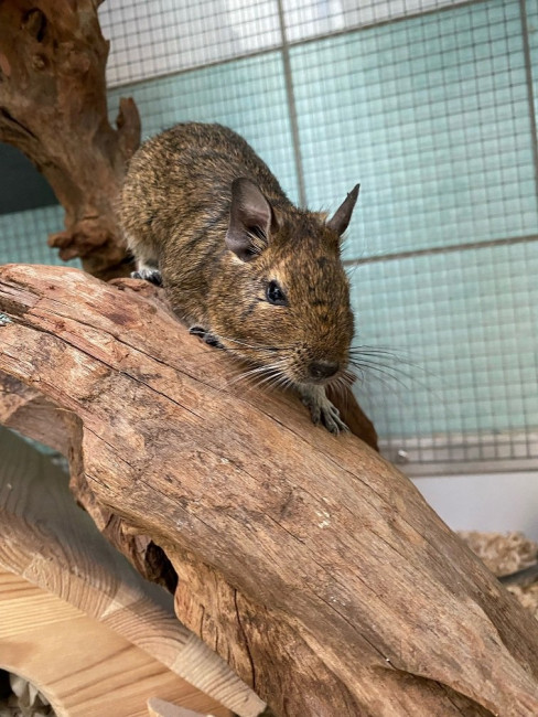 Liam2.0.jpg (204.69 KiB) 5761 mal betrachtet Liam