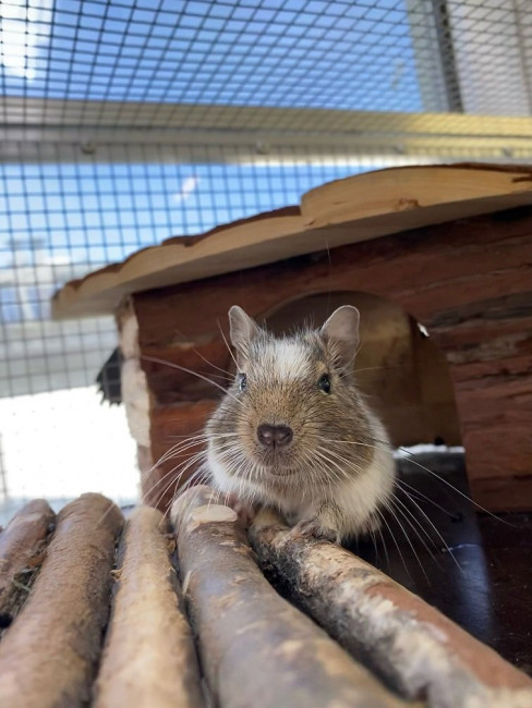 Harry.jpg (120.72 KiB) 5761 mal betrachtet Harry