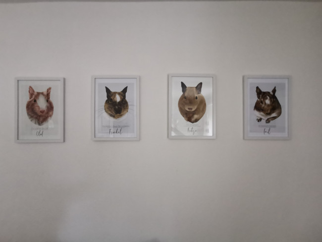 IMG_20230319_111627-min.jpg (390.36 KiB) 6100 mal betrachtet Erinnerungswand