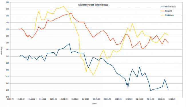 Der Gewichtsverlauf der Gruppe