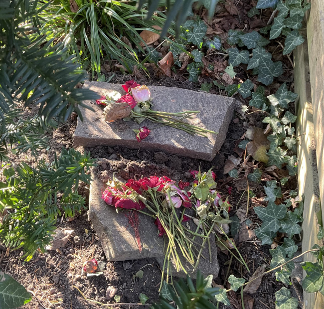 IMG_2162.jpeg (2.68 MiB) 3565 mal betrachtet Roxy & Paulinchen